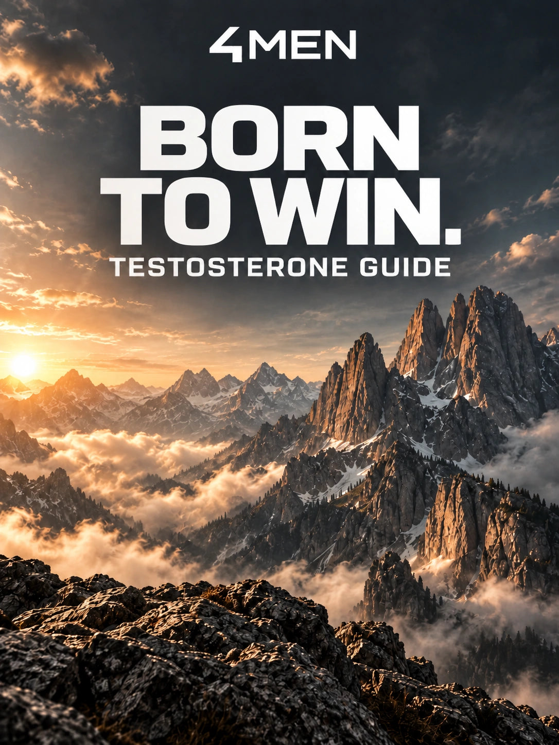 Testosterone Guide eBook